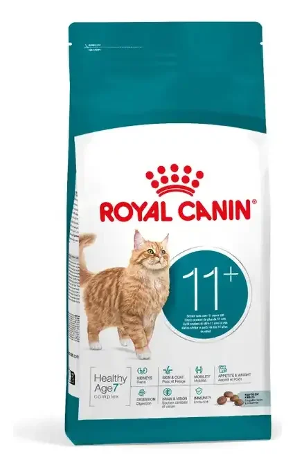 ROYAL GATO +11