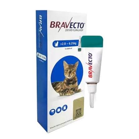 BRAVECTO GATO 2,8 A 6,25KG