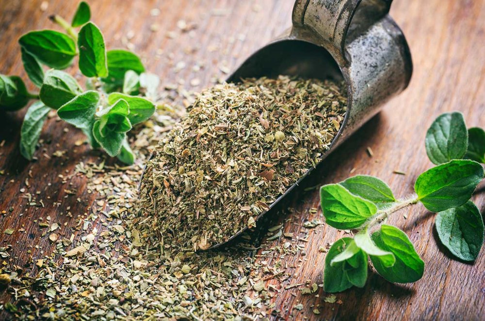 Oregano 50g