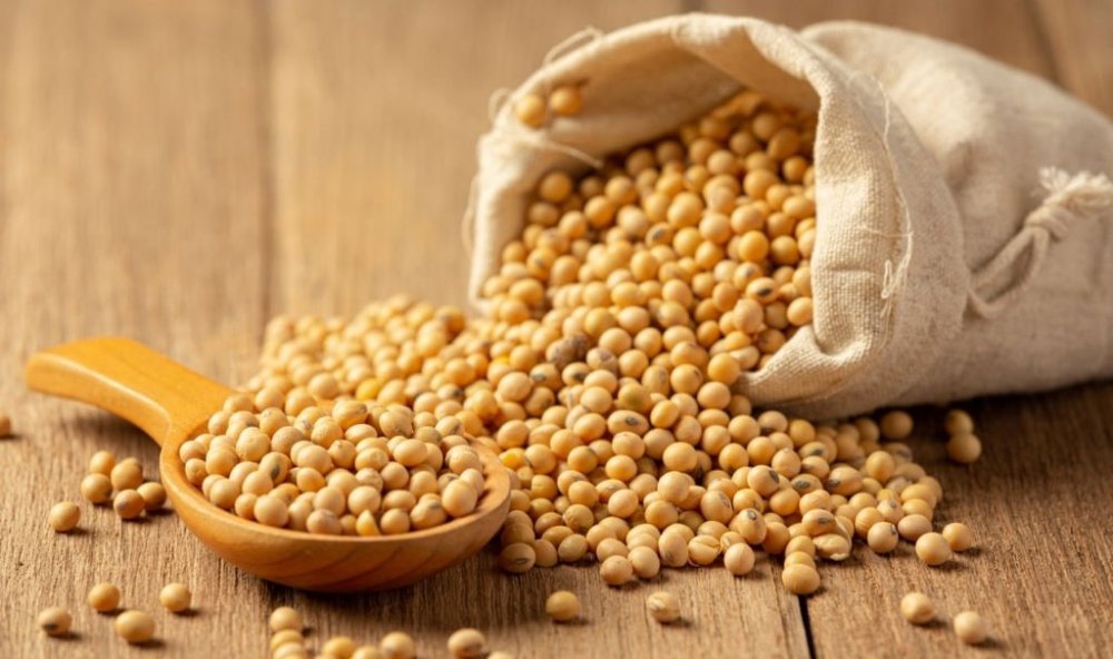 porotos de soja x 500 grs