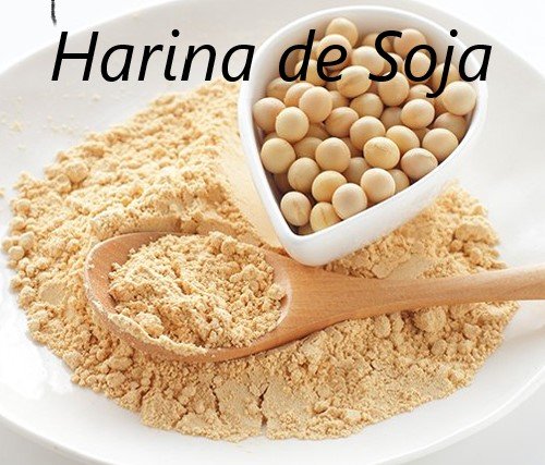 harina de soja x 500 grs