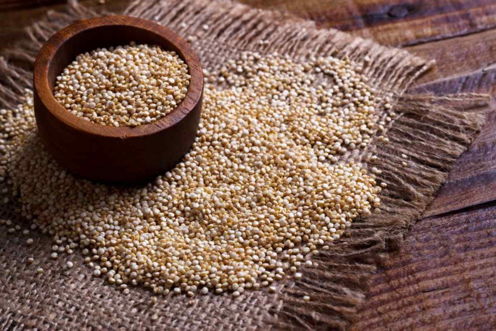 semillas de quinoa x 100 grs