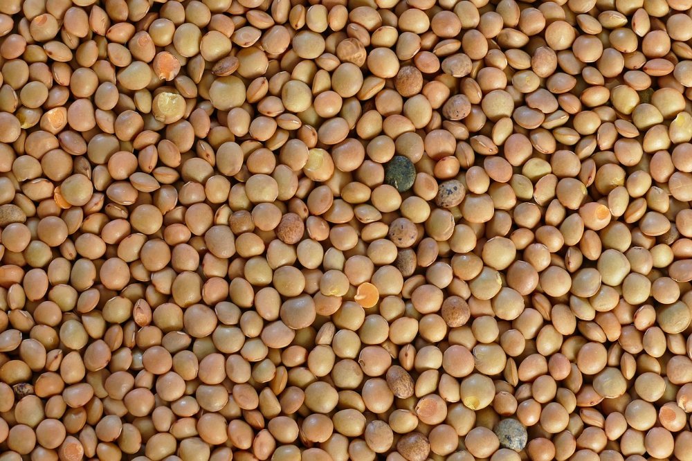 lentejas 500g