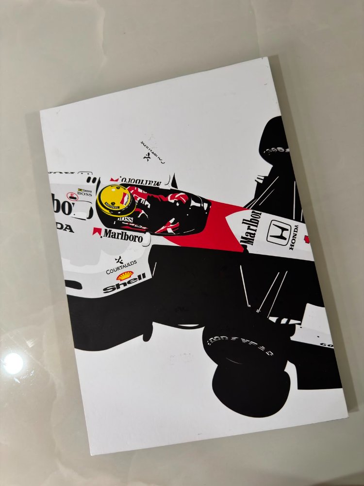 Cuadro Ayrton Senna