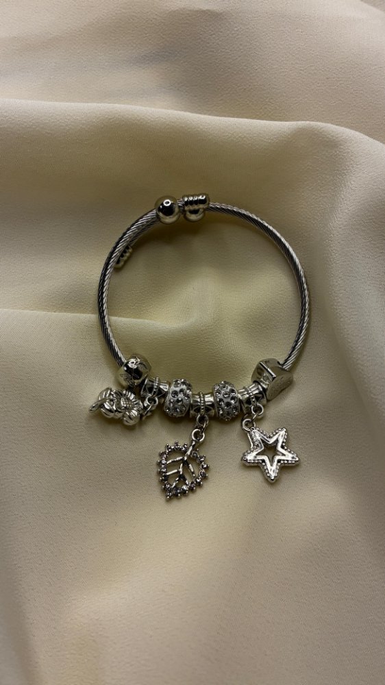22-Pulseras Charms