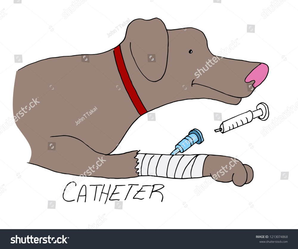 Canalizacion