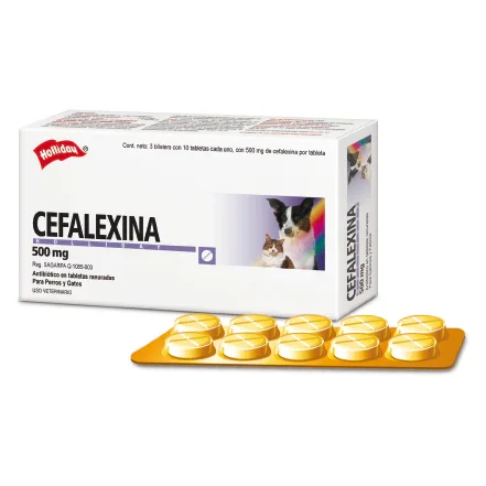 Cefalexina