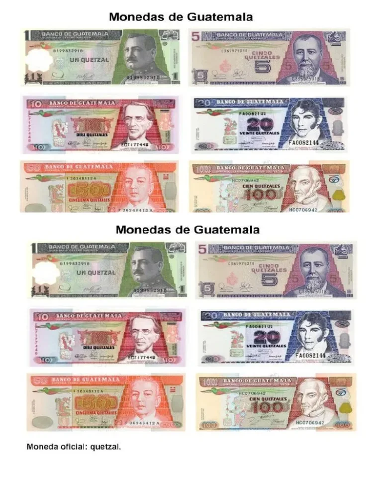 Tira de billetes educativos