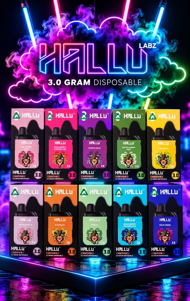 HALLU 3.0
