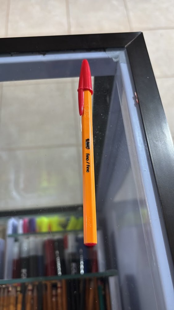 bic fino rojo