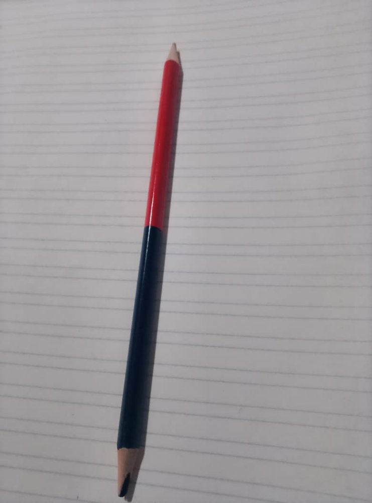 bicolor chico