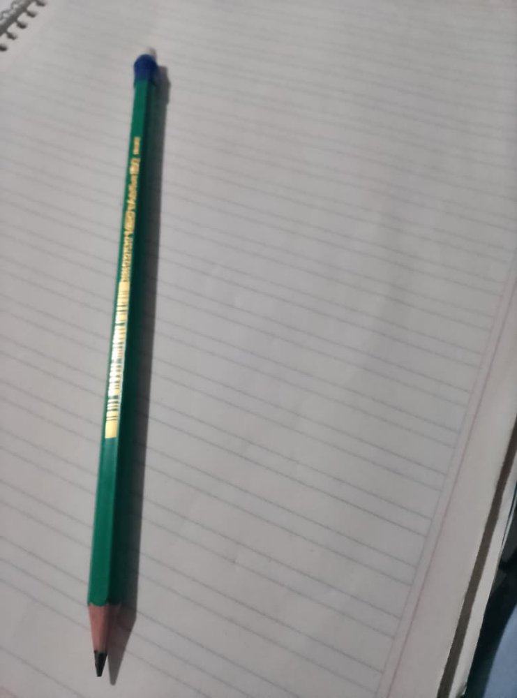 lapiz bic evolution