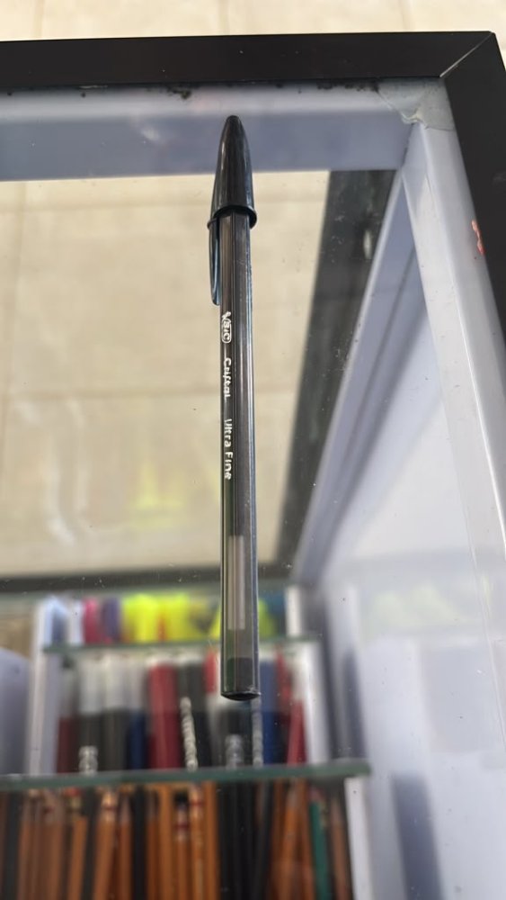 bic kristal fino negro