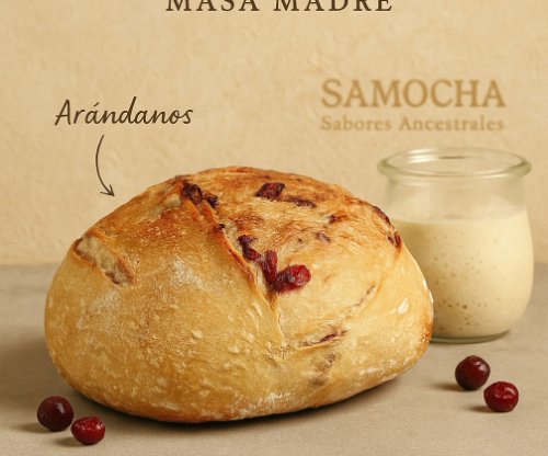 Hogaza Arándanos