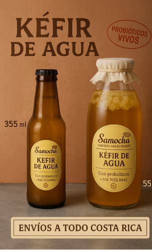 Kefir de agua (Botella segura)