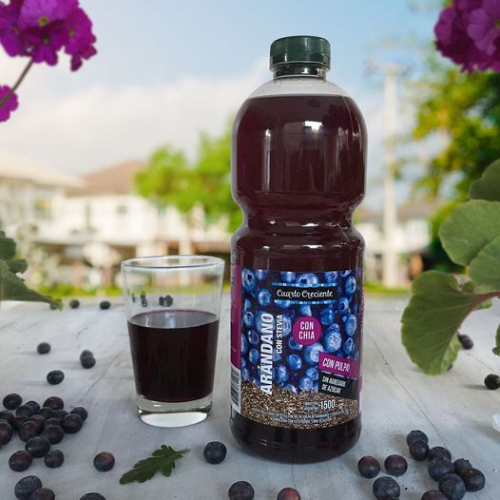 Jugo Stevia Arándanos con chía x 1,5 L
