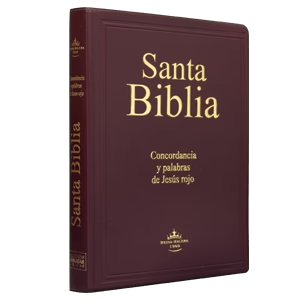 Biblia RVR 1960 LETRA GRANDE