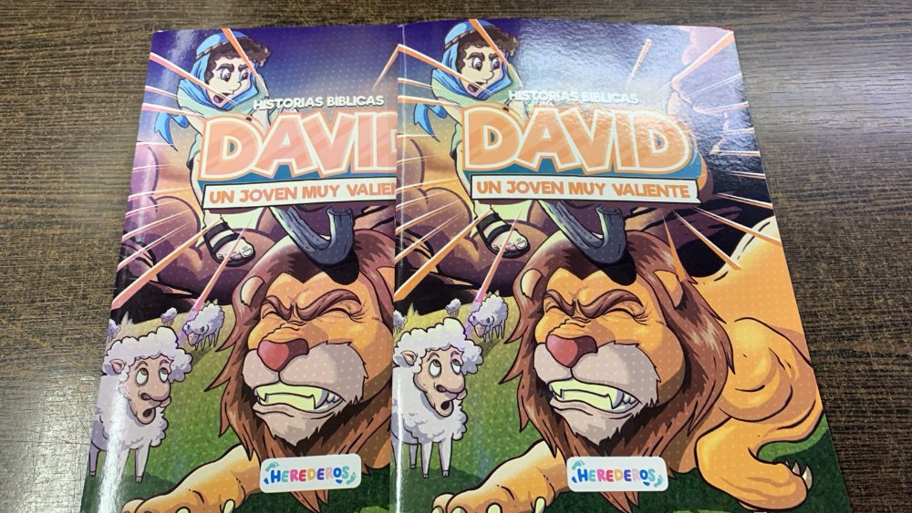 DAVID UN JOVEN MUY VALIENTE