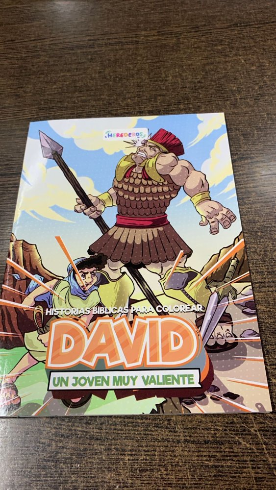 DAVID UN JOVEN MUY VALIENTE / PINTAR