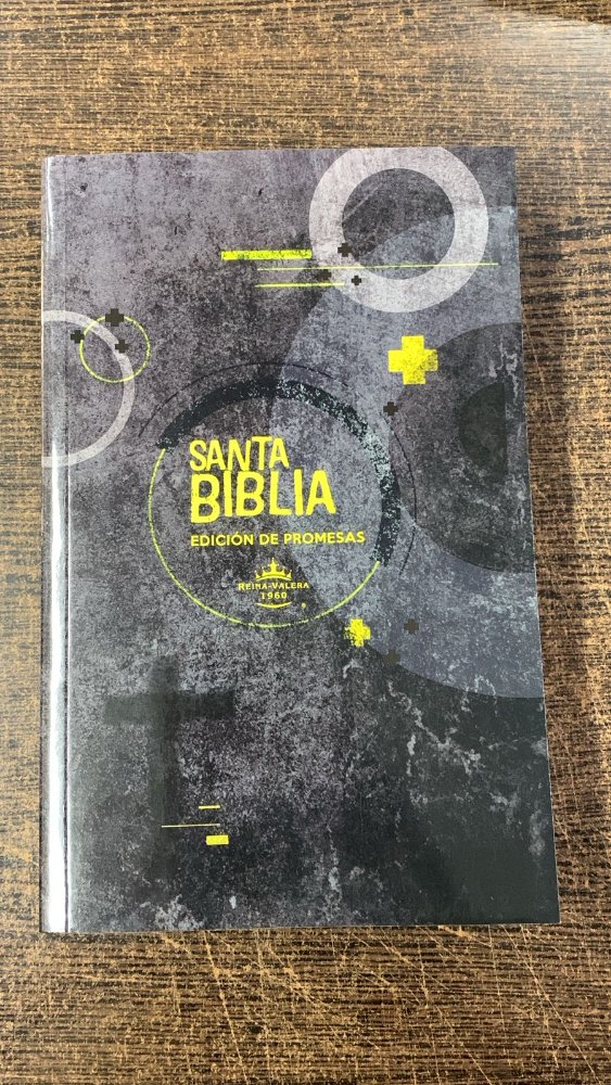 BIBLIA  RVR1960 ED. PROMESAS