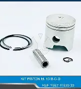 KIT PISTON M. 15 B-C-D TW