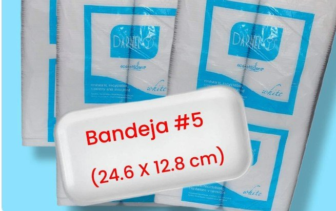 BANDEJA N°5 DARNEL X 500