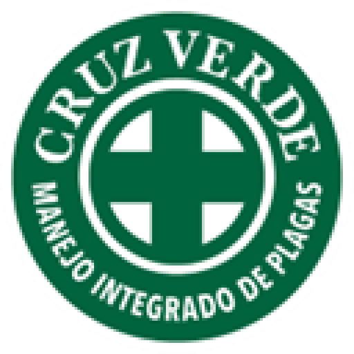 ingina cruz verde abril