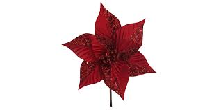 flor pana navideña nov