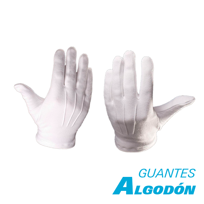 guante blanco T16 agosto