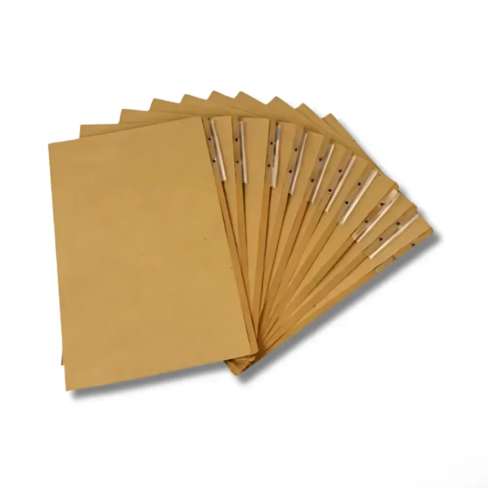 CARPETA CARTON CARTA