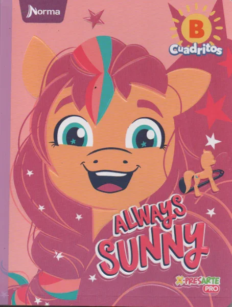 cuaderno  100 hojas B