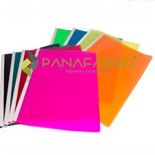 CARPETA BISEL OFICIO