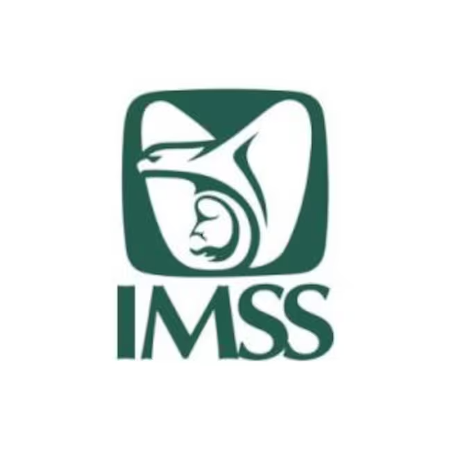 Cotizacion Semanas Imss