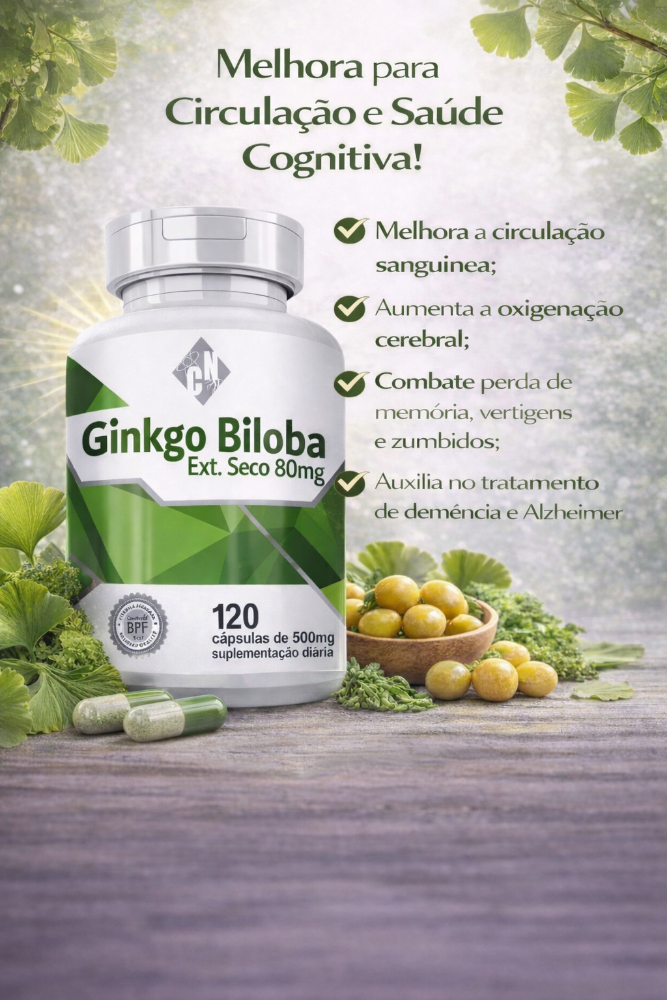 CAPSULA GINKGO BILOBA 120/500