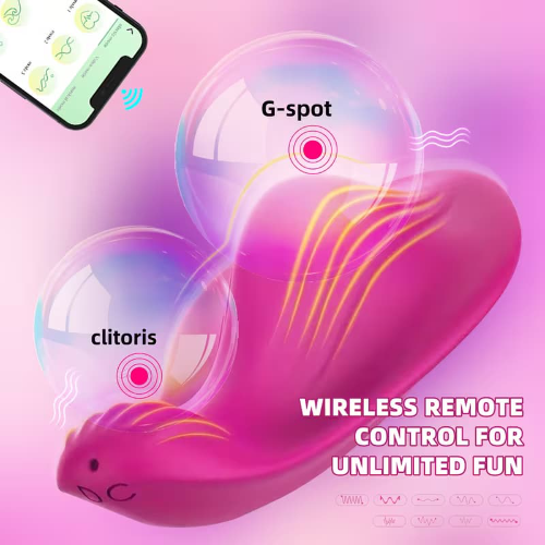VIBRADOR APP PANTY