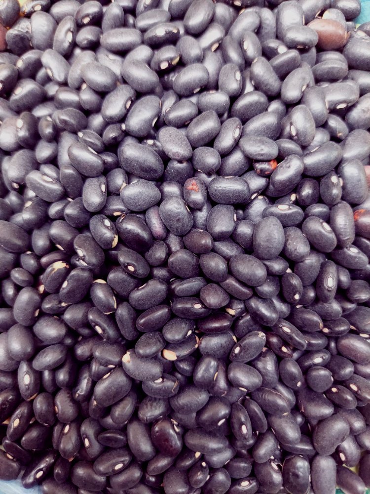 Porotos negros