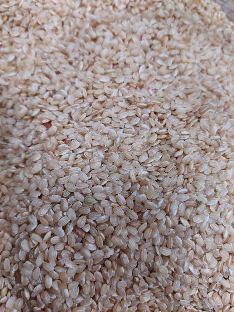 Arroz Yamani