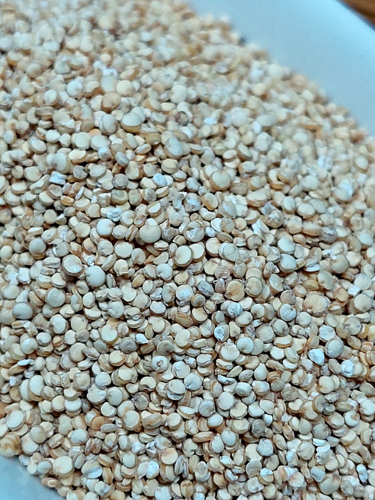 Semilla de quinoa