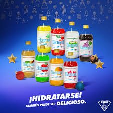 Electoral sabores 475 ml