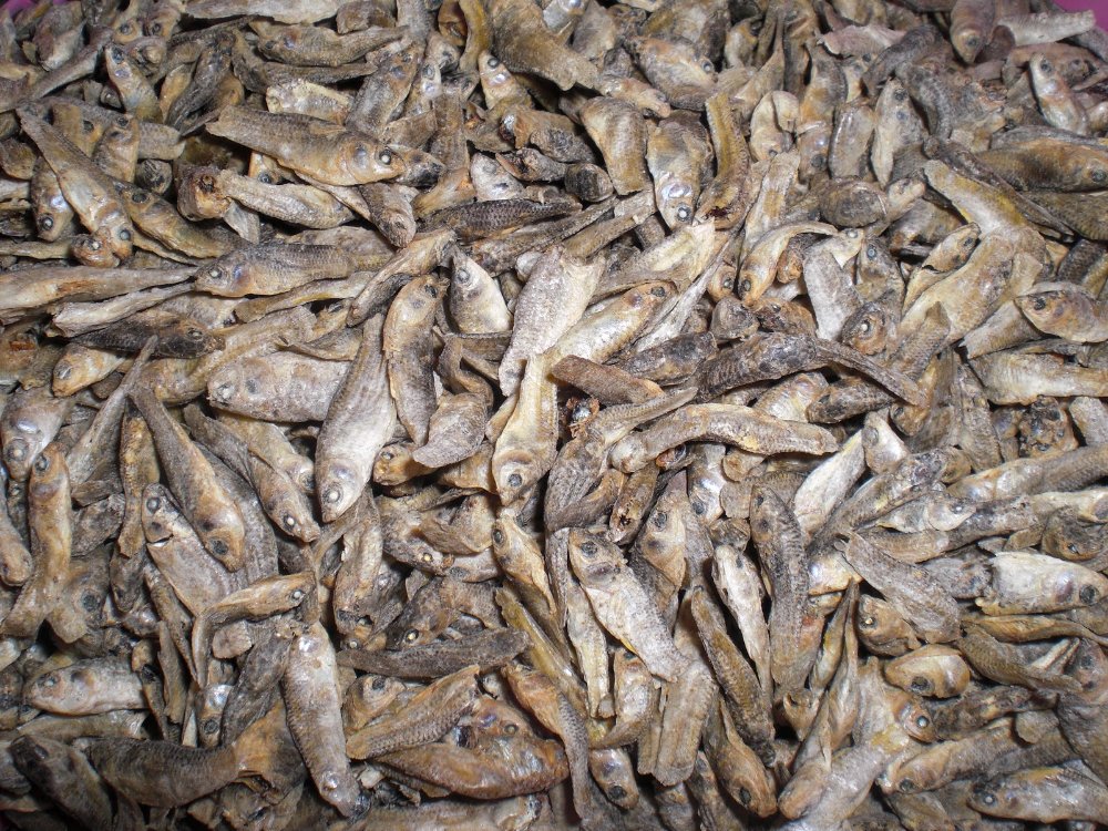 Pescadito santiago