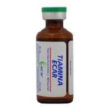 TIAMINA AMPOLLA 10 ML  (ECAR) C5JL