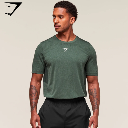 Preventa Gymshark Lightweight Seamless T-Shirt - Chalk Green/Base Green(M)
