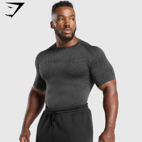 Preventa Gymshark Tectonic Seamless T Shirt - Asphalt Grey/Black(L)