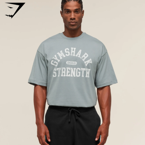 Gymshark 2012 Strength T-Shirt - Denim Grey (S)