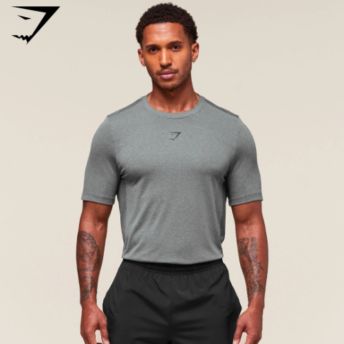 PREVENTA Lightweight Seamless T-Shirt - Light Grey/Smokey Grey (M)