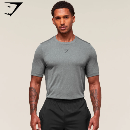 Preventa Gymshark Lightweight Seamless T-Shirt - Light Grey/Smokey Grey(L)