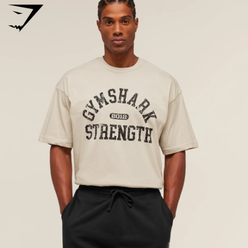 Gymshark 2012 Strength T-Shirt - Pebble Grey (M)