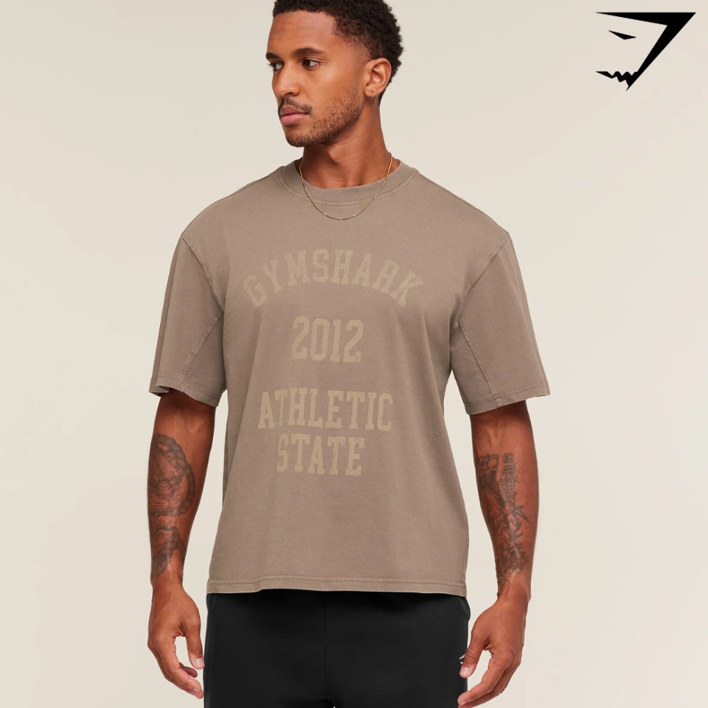 Collegiate Washed T-Shirt - Soft Brown (XXL)