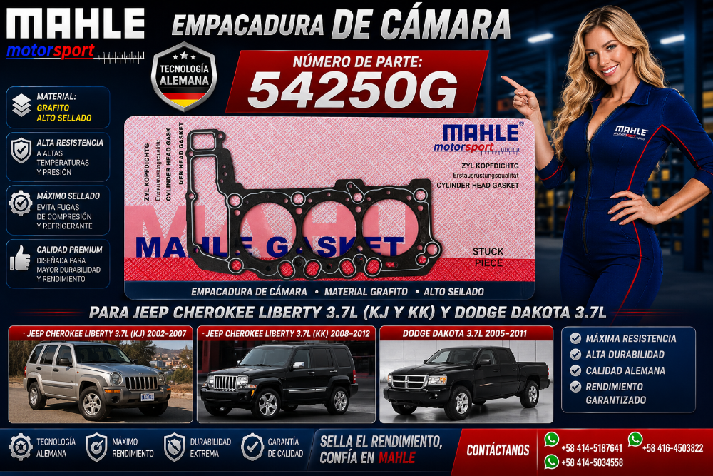Empacadura Cámara Grafito Par Jeep Liberty 3.7L / Dodge Dakota 3.7L