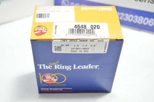 Juego Anillos 020 Dodge Caravan 3.8L HASTING